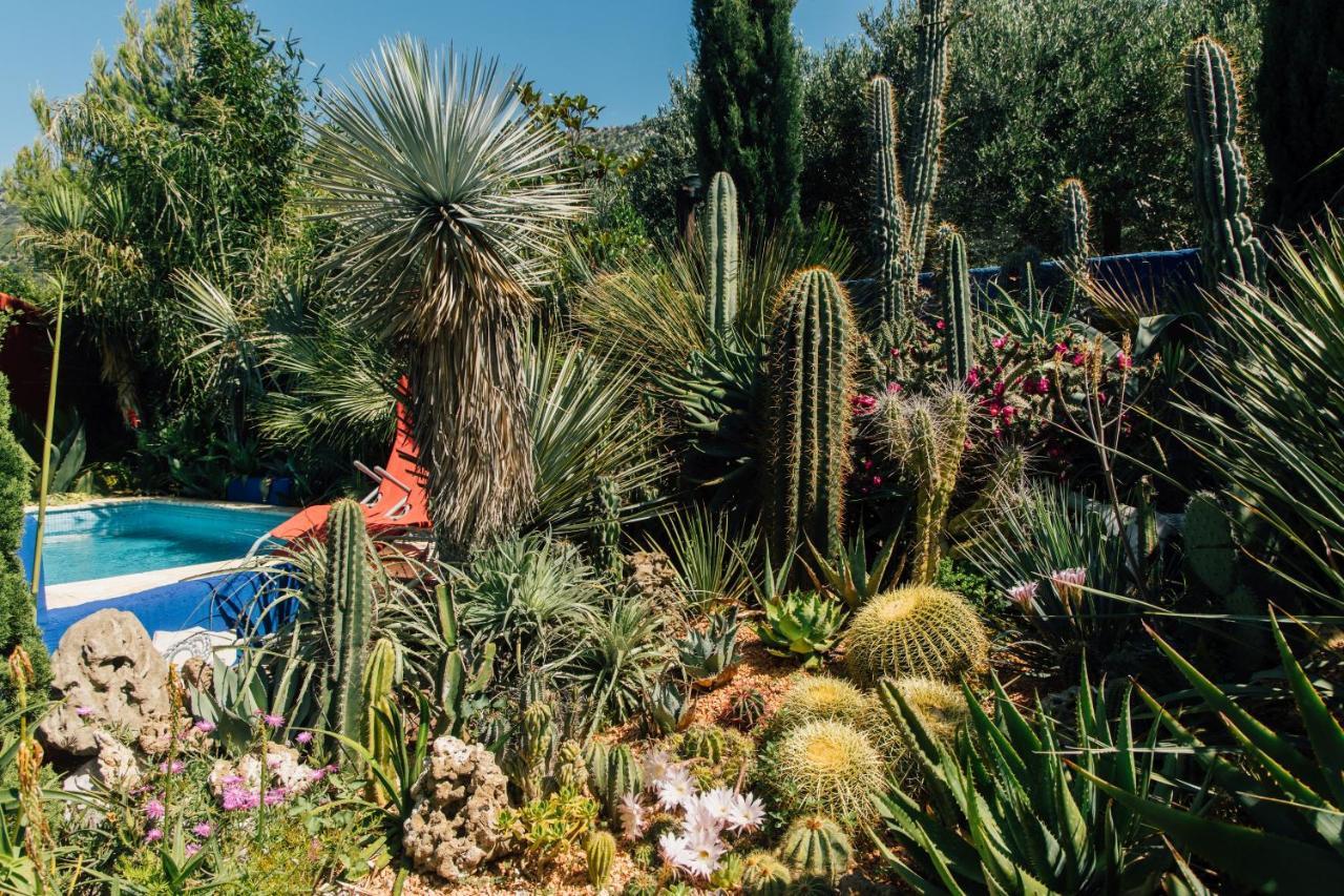 Villa Tropica, Total Privacy, Tropical Garden And Private Pool Kastela Exterior photo